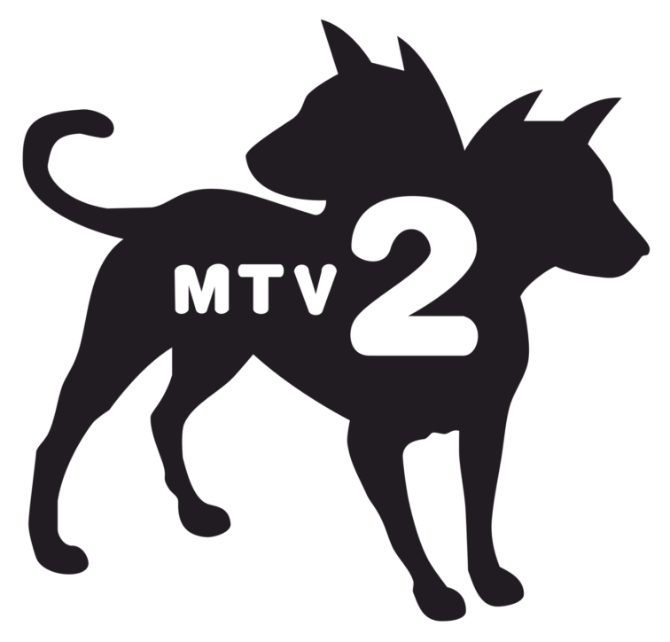 Item 11